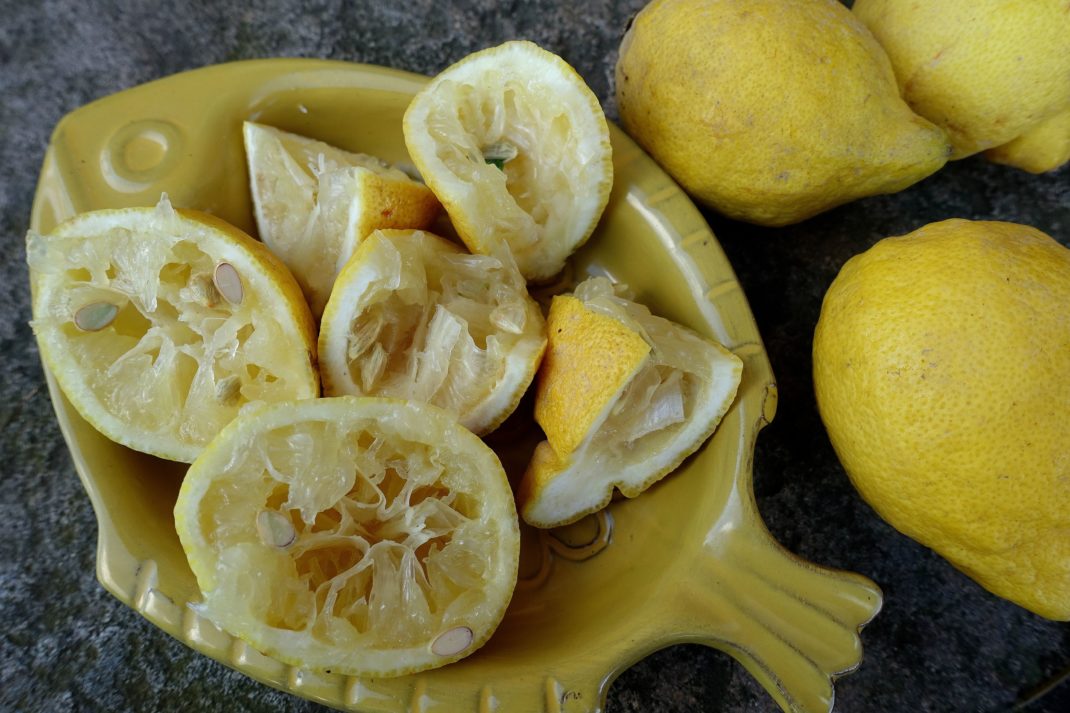 Ett fat med citronskal. Freeze lemons, a plate filled with lemon peels.