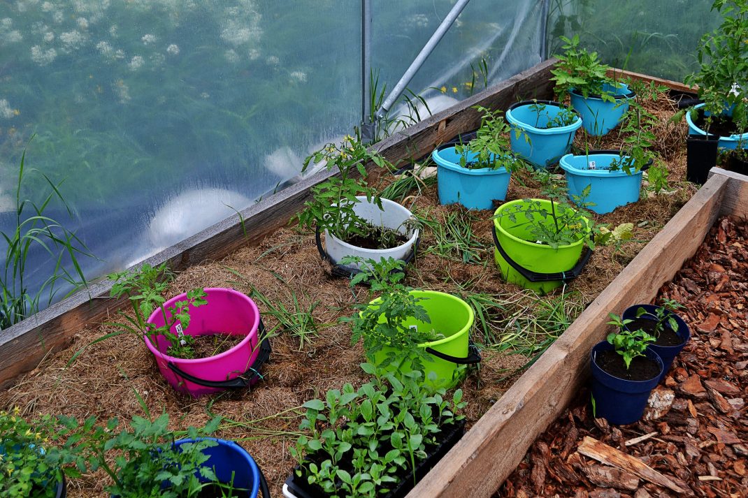 How to get rid of couch grass Sara at Skillnaden's