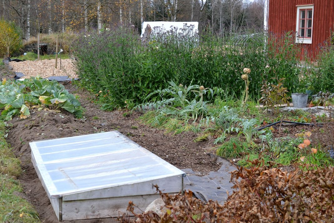 WinterSowing in a Cold Frame Sara's Kitchen Garden