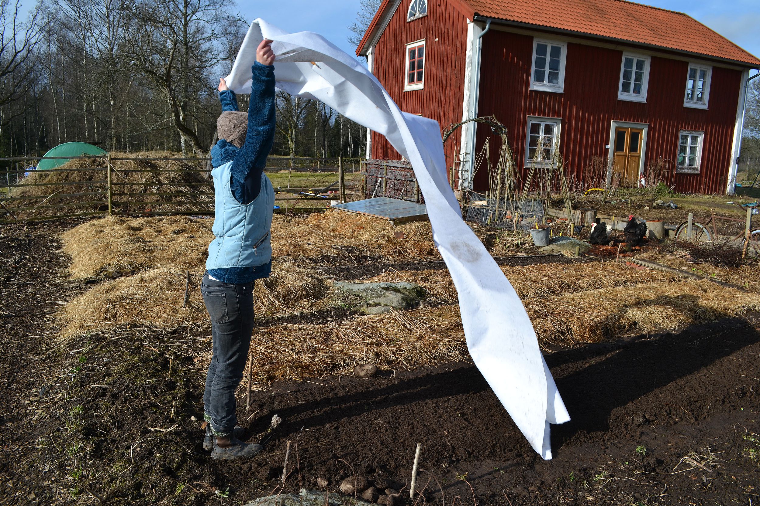 skillnadenstradgard_sadd_mars