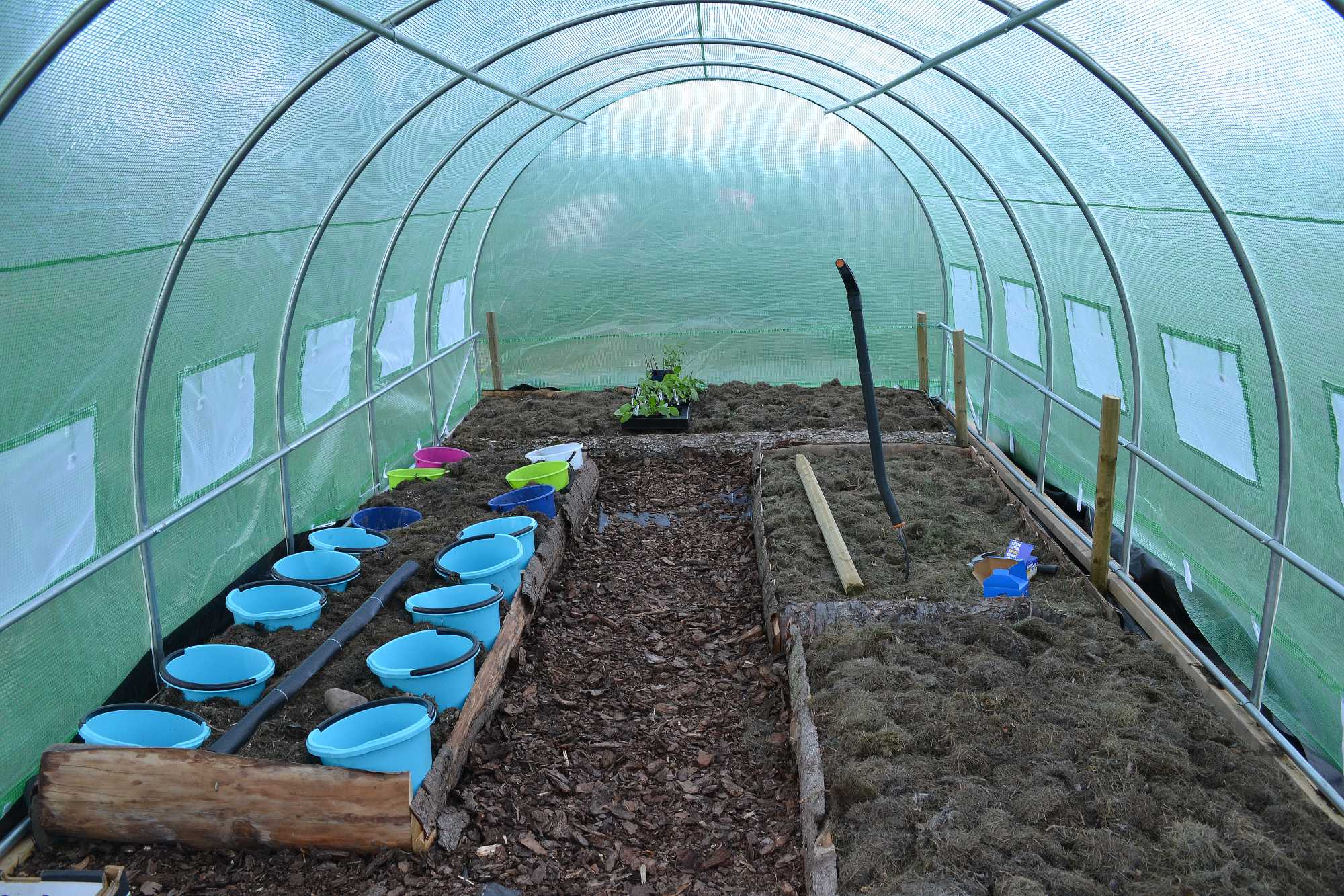 Guide Buying a polytunnel for your garden Sara's Kitchen Garden