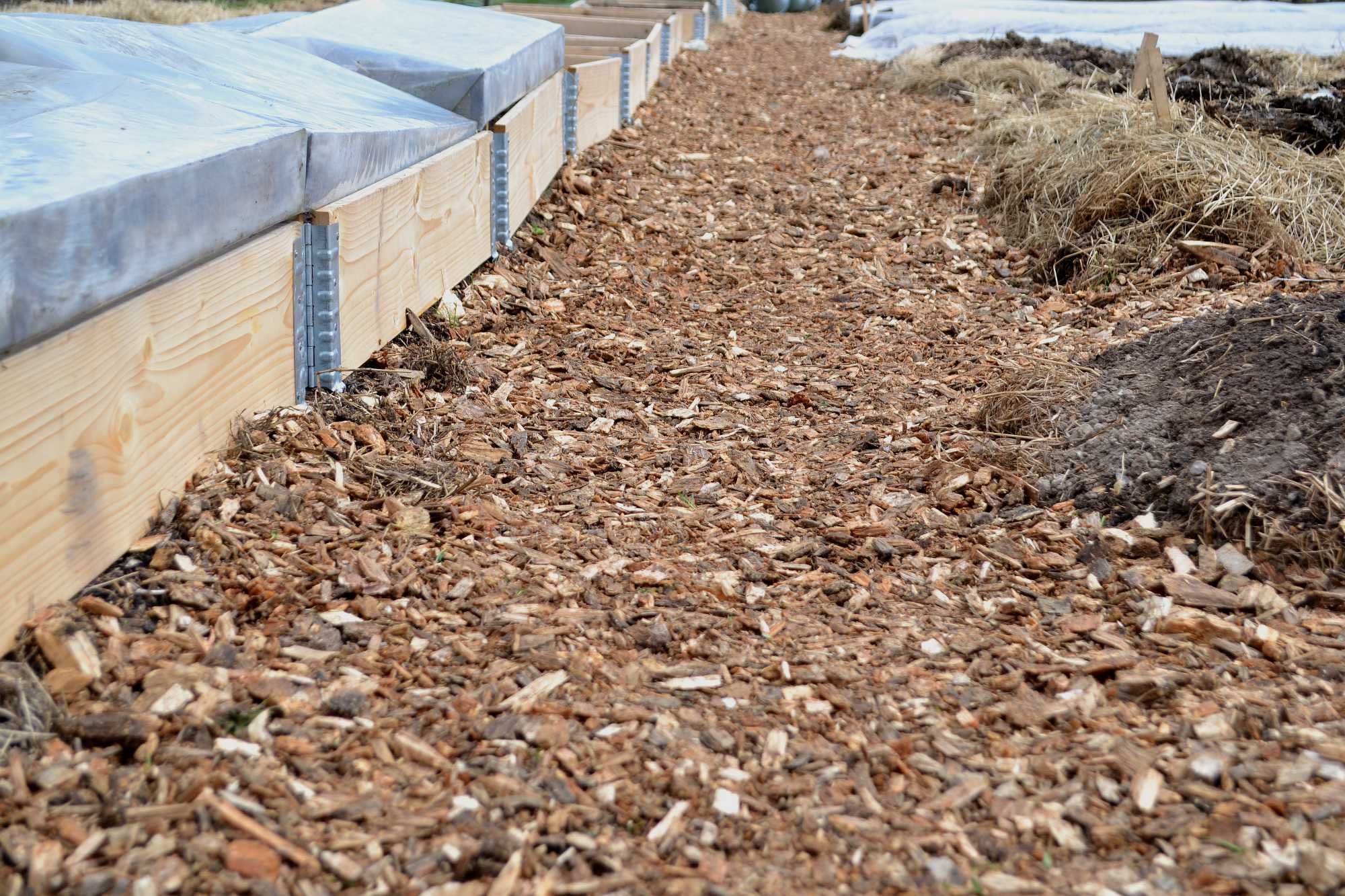 My Wood Chip Garden Paths Sara At Skillnadens