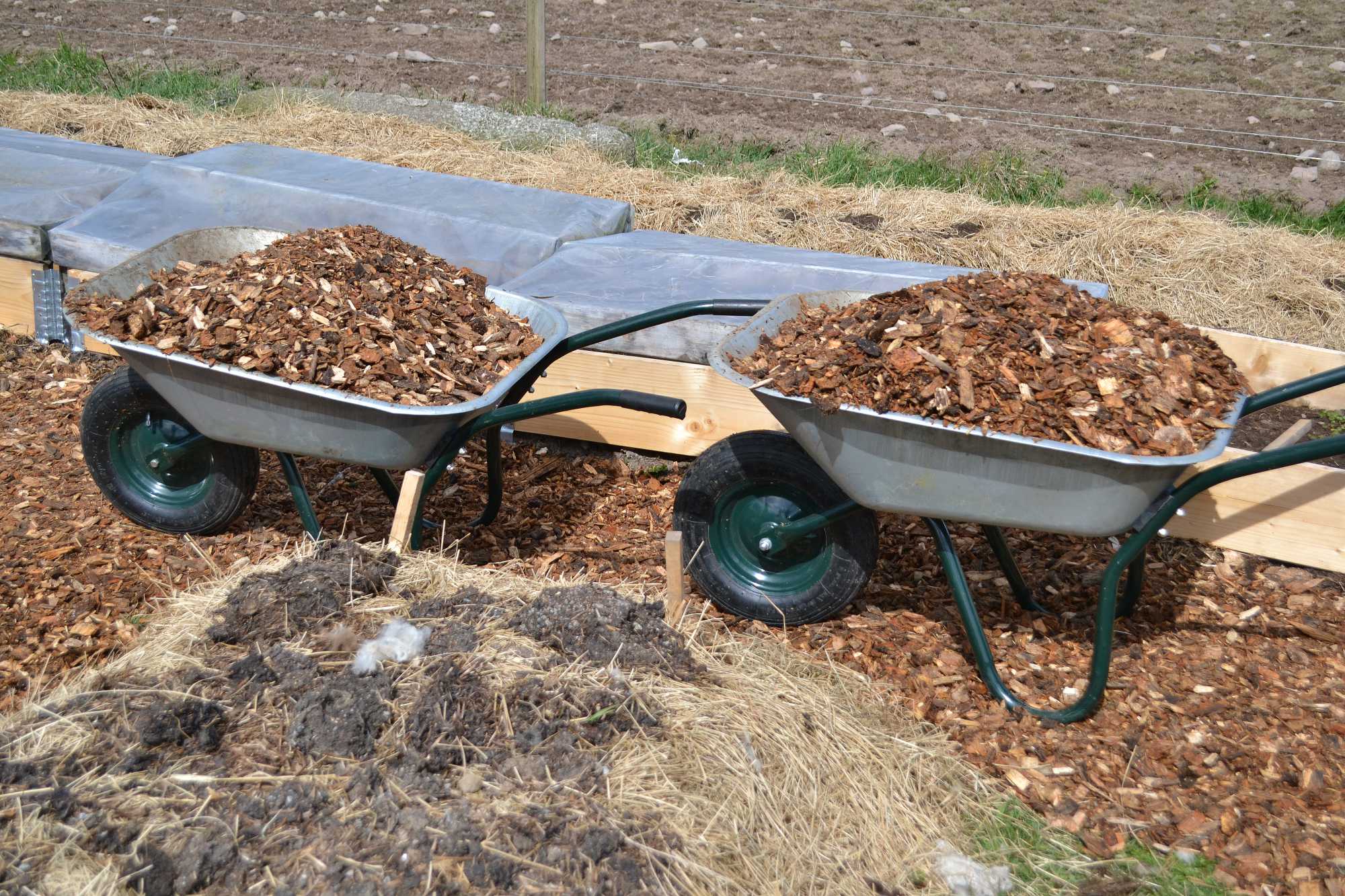 My wood chip garden paths Sara at Skillnaden's
