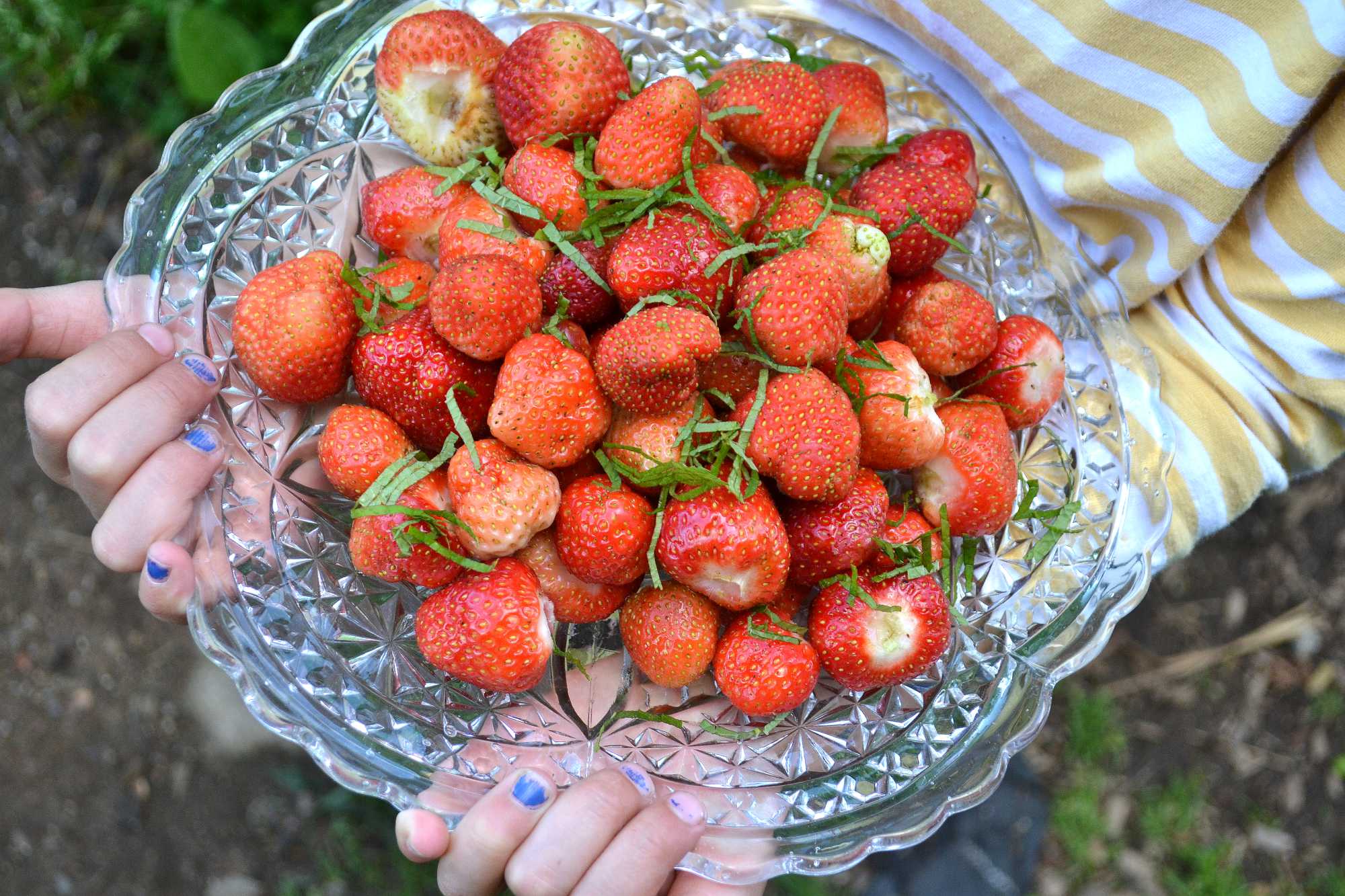 Strawberry companion plants: what to grow with strawberries