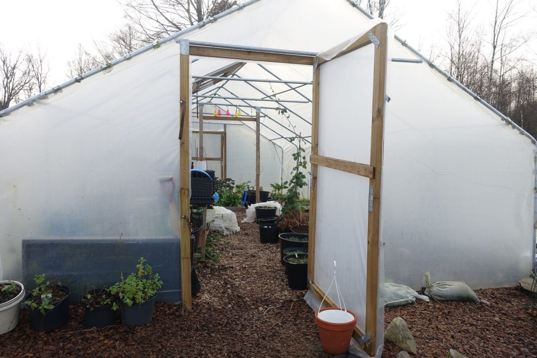 Polytunnel Ventilation How and When? Sara's Kitchen Garden