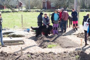 Bland odlingsbäddarna i Skillnadens Trädgård står flera kursdeltagare och den stora svarta hunden är framme och hälsar.