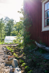 En liten plantering jämns hussidan i solljuset.