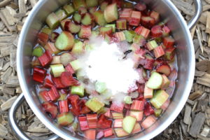 I en kastrull ligger massor av bitar av rabarber tillsammans med socker.