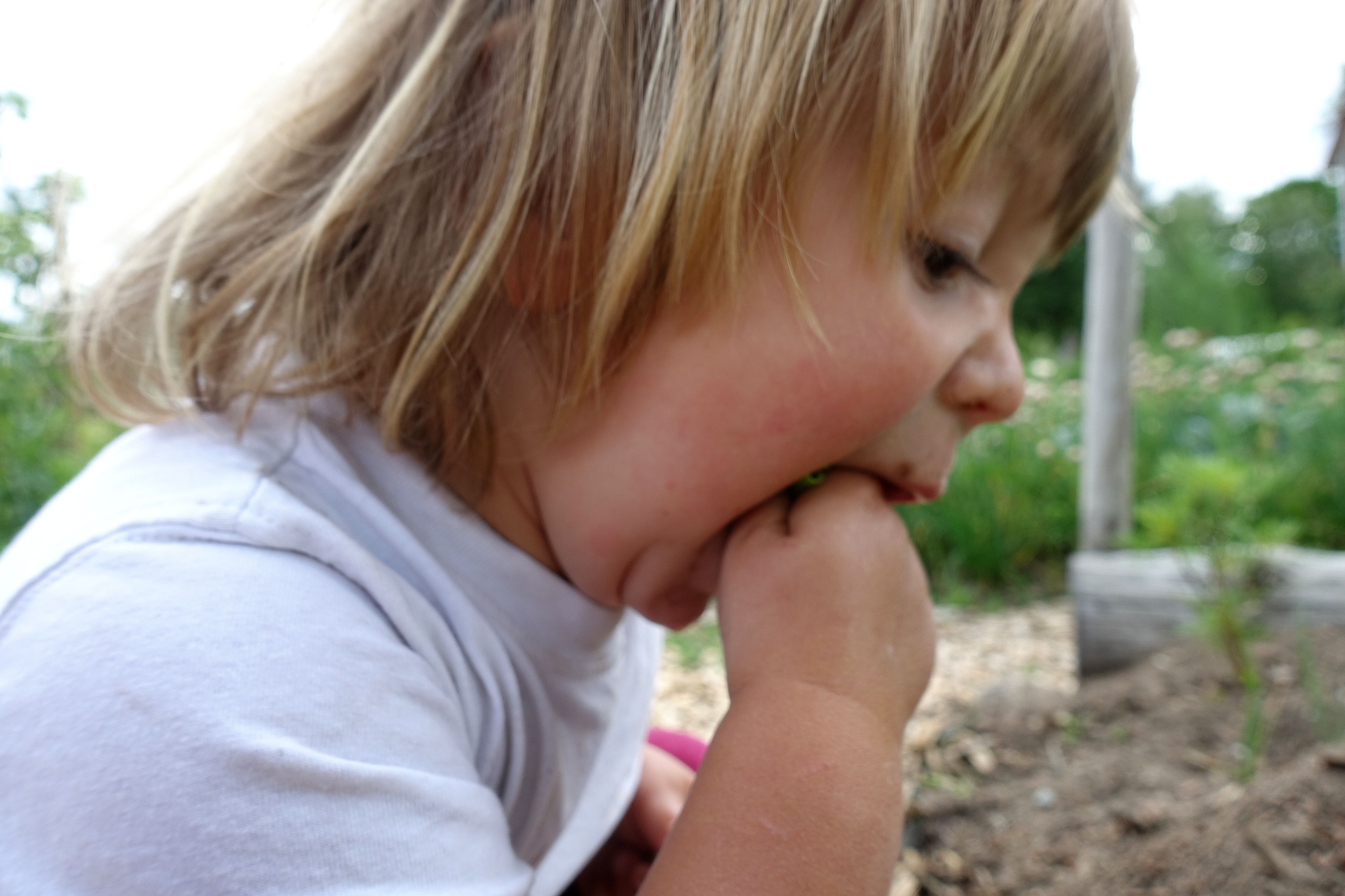 Ett litet barn med handen full av något trycker in hela handen i munnen. 