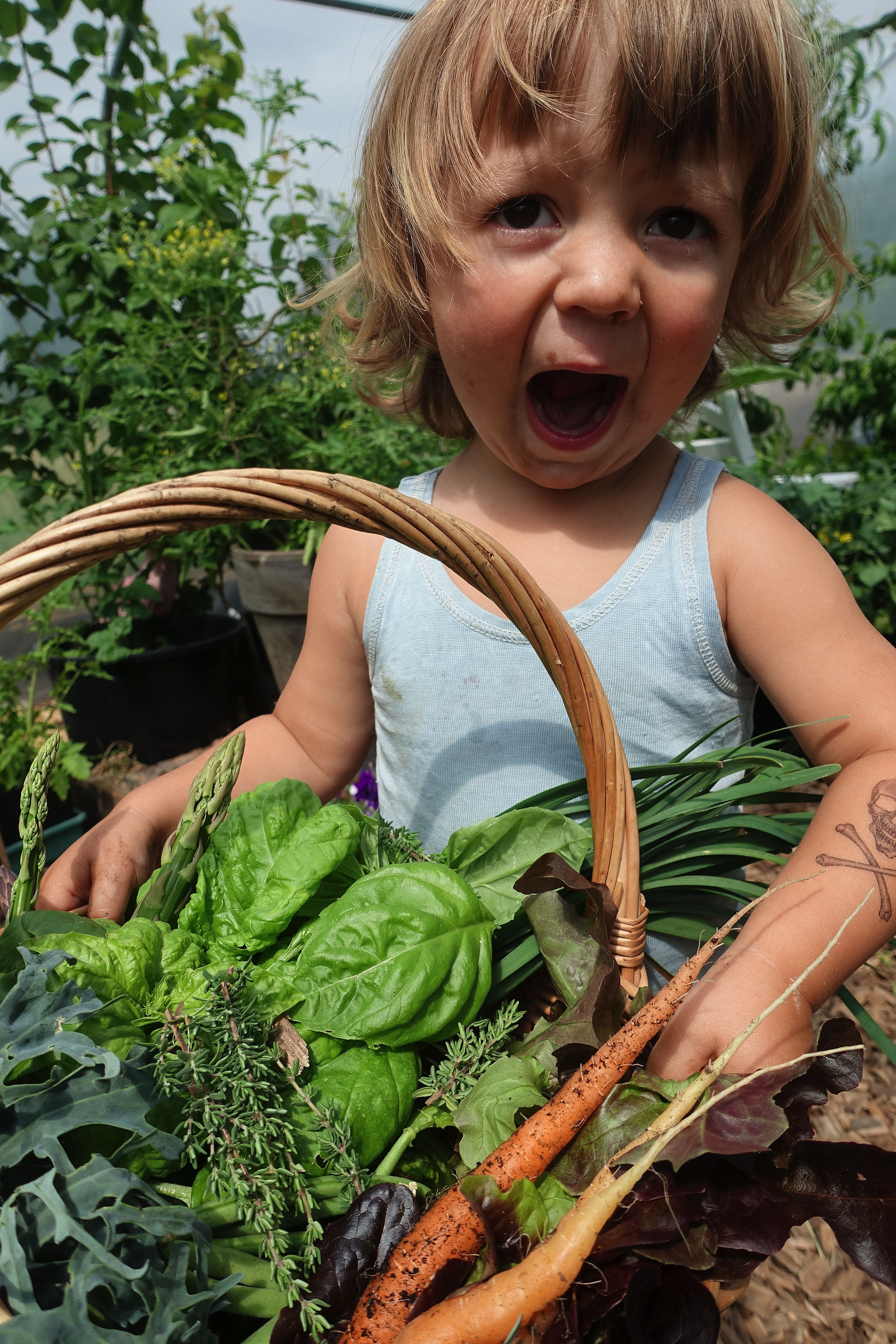 Ett litet barn bär på en korg med grönsaker. Growing your own food, Loa with fresh vegetables. 