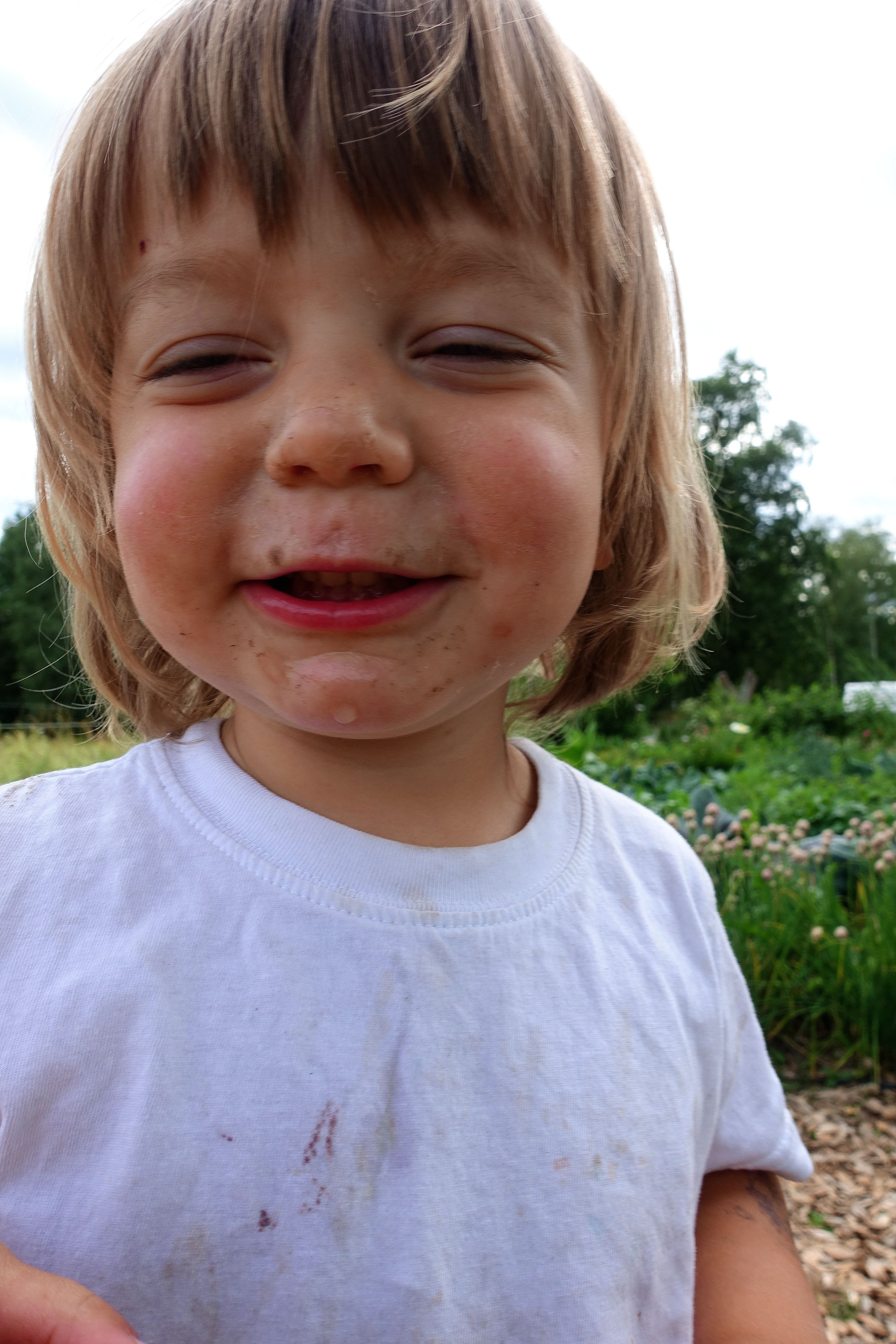 Ett glatt barn, smutsigt i ansiktet. Gardening with kids, Loa with dirt on his face. 