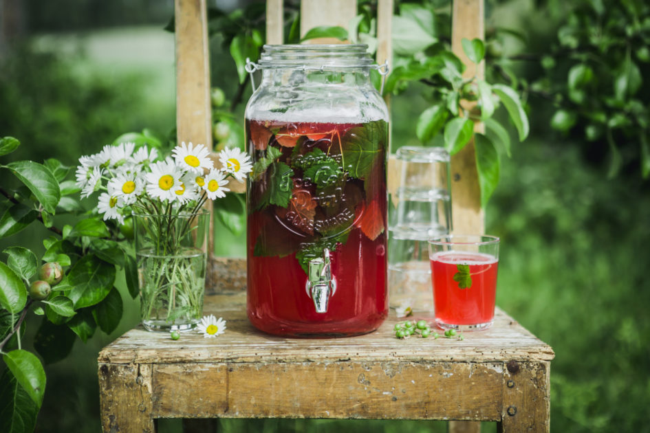 Homemade blackcurrant leaf juice – Sara's Kitchen Garden