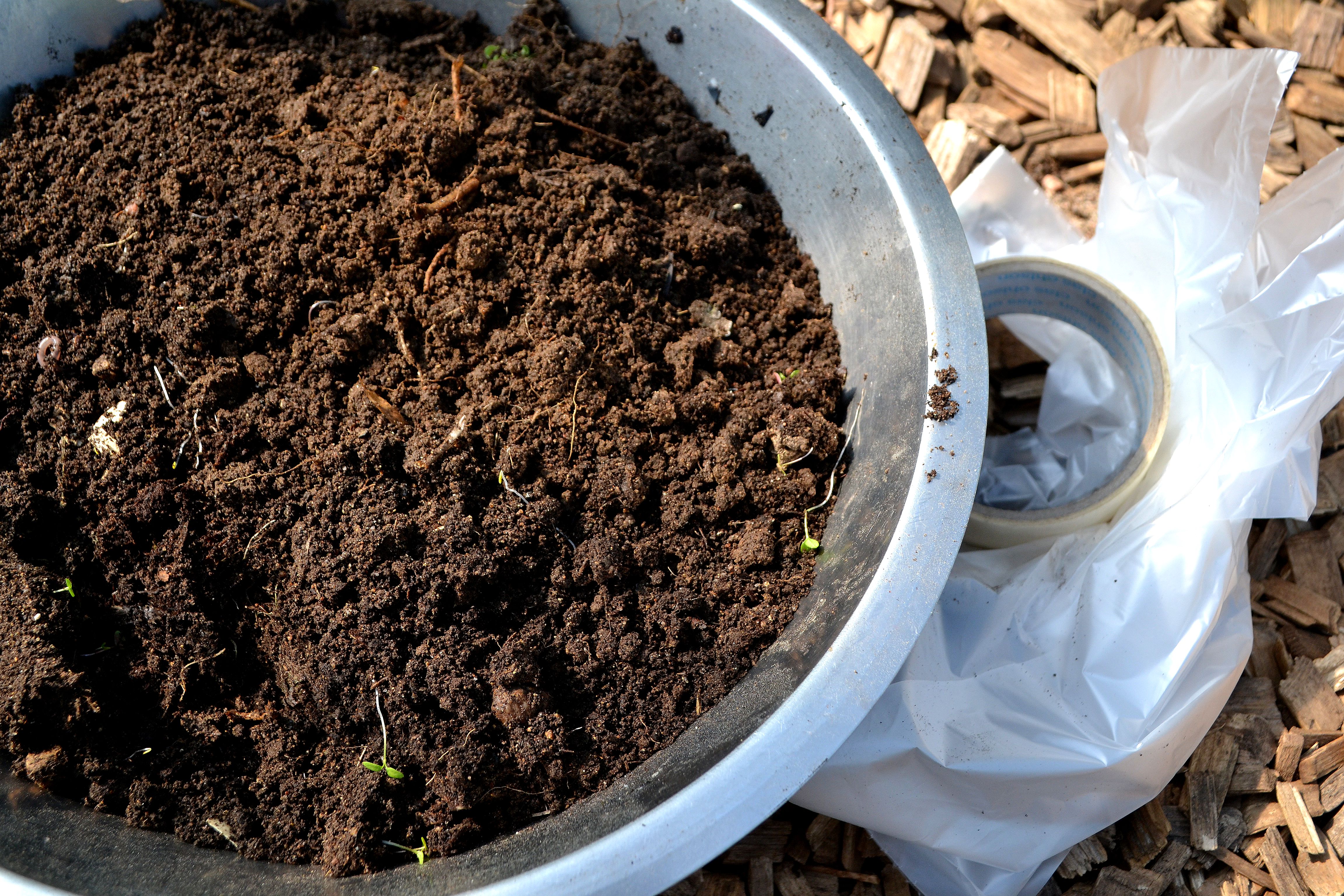 En rostfri skål fylld med jord. Soil analysis, a bowl filled with soil. 
