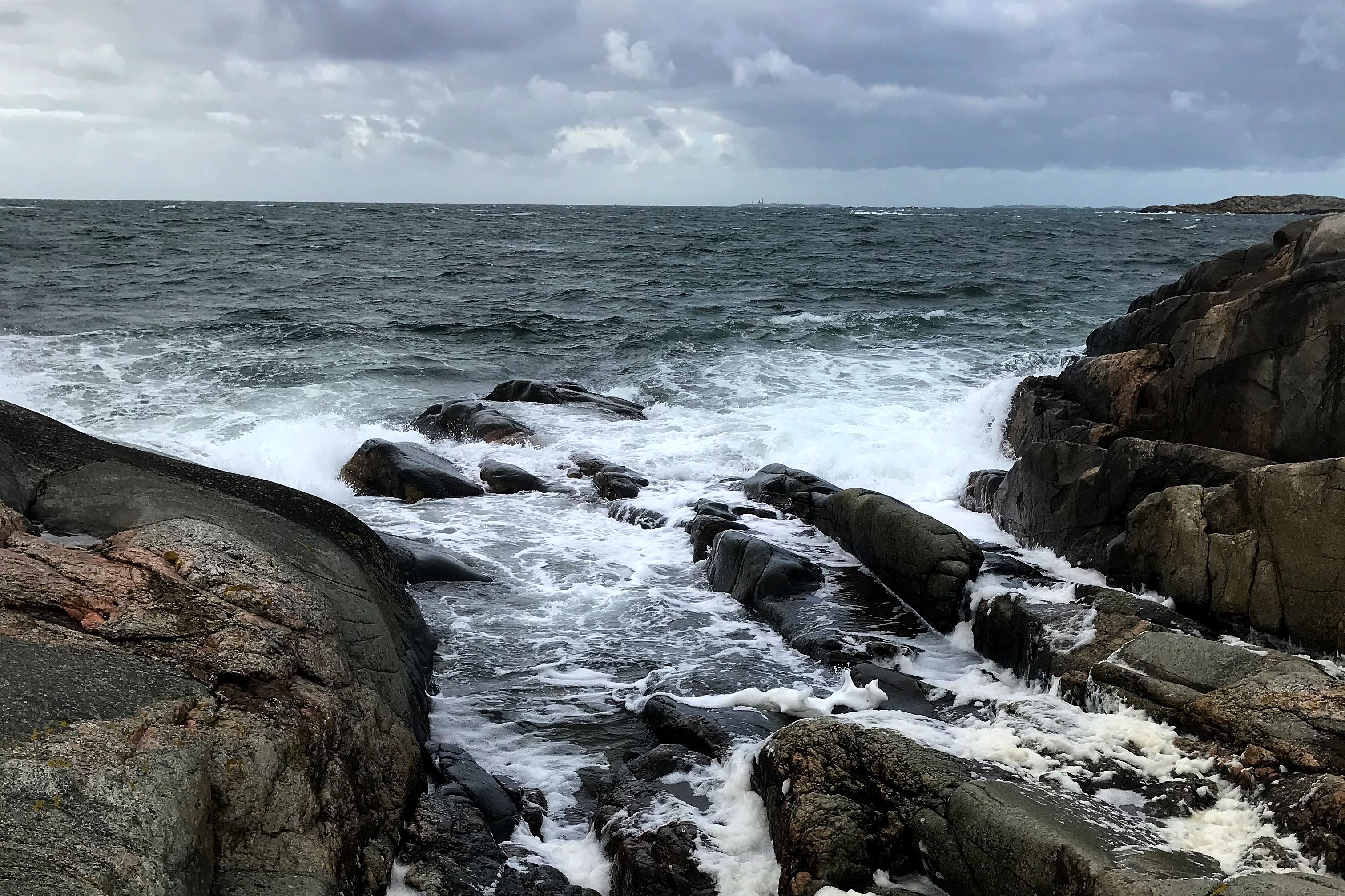 En bild på havet som slungar upp skummande vågor mot klipporna. Collecting sea kale seeds, a picture of the ocean waves.
