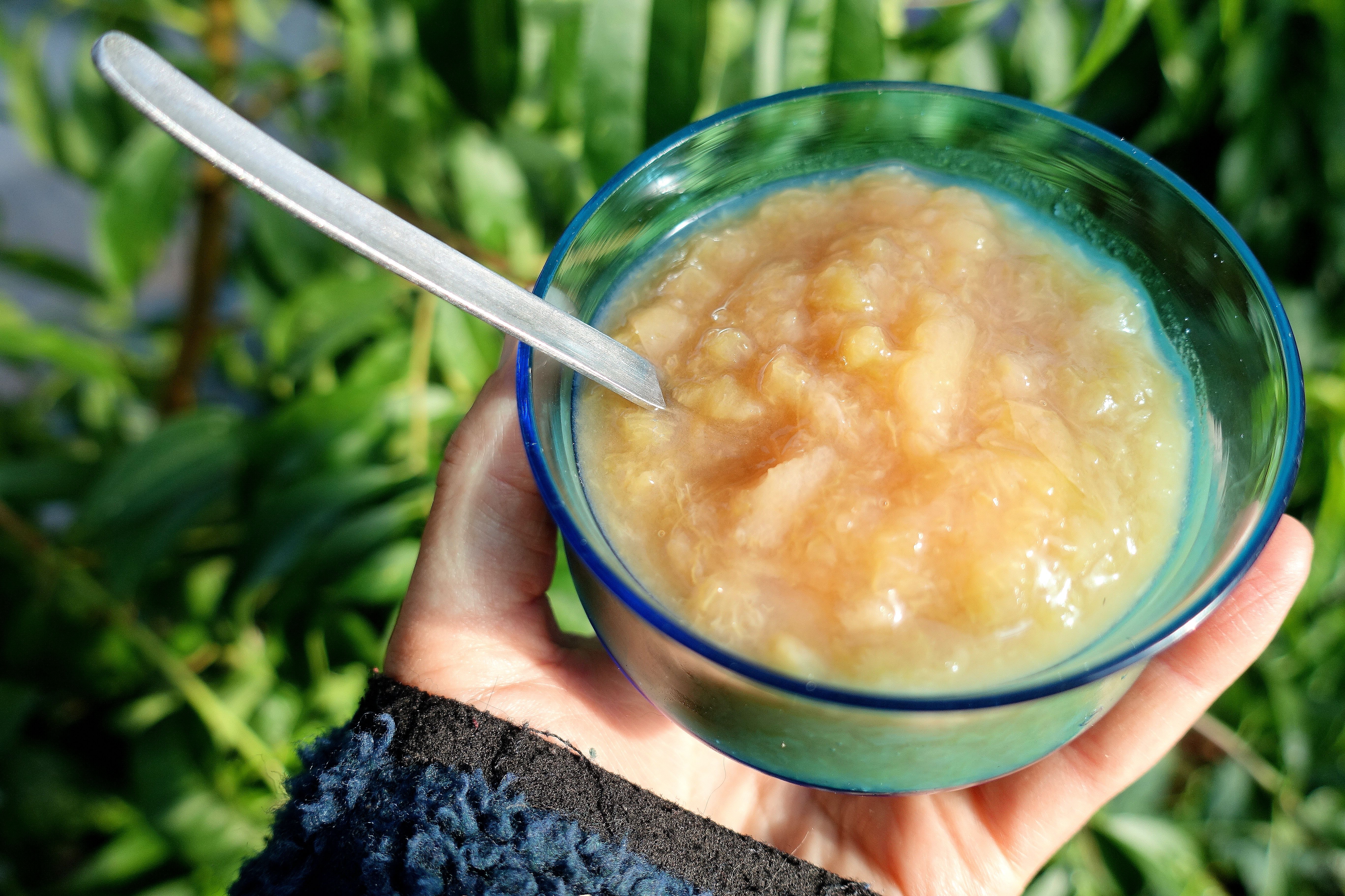 En hand håller en liten blå skål med gul sylt. Peach varieties, a hand holding a little blue bowl filled with jam.