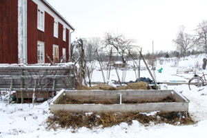 Över all hästskit sätter Sara en stor träram.