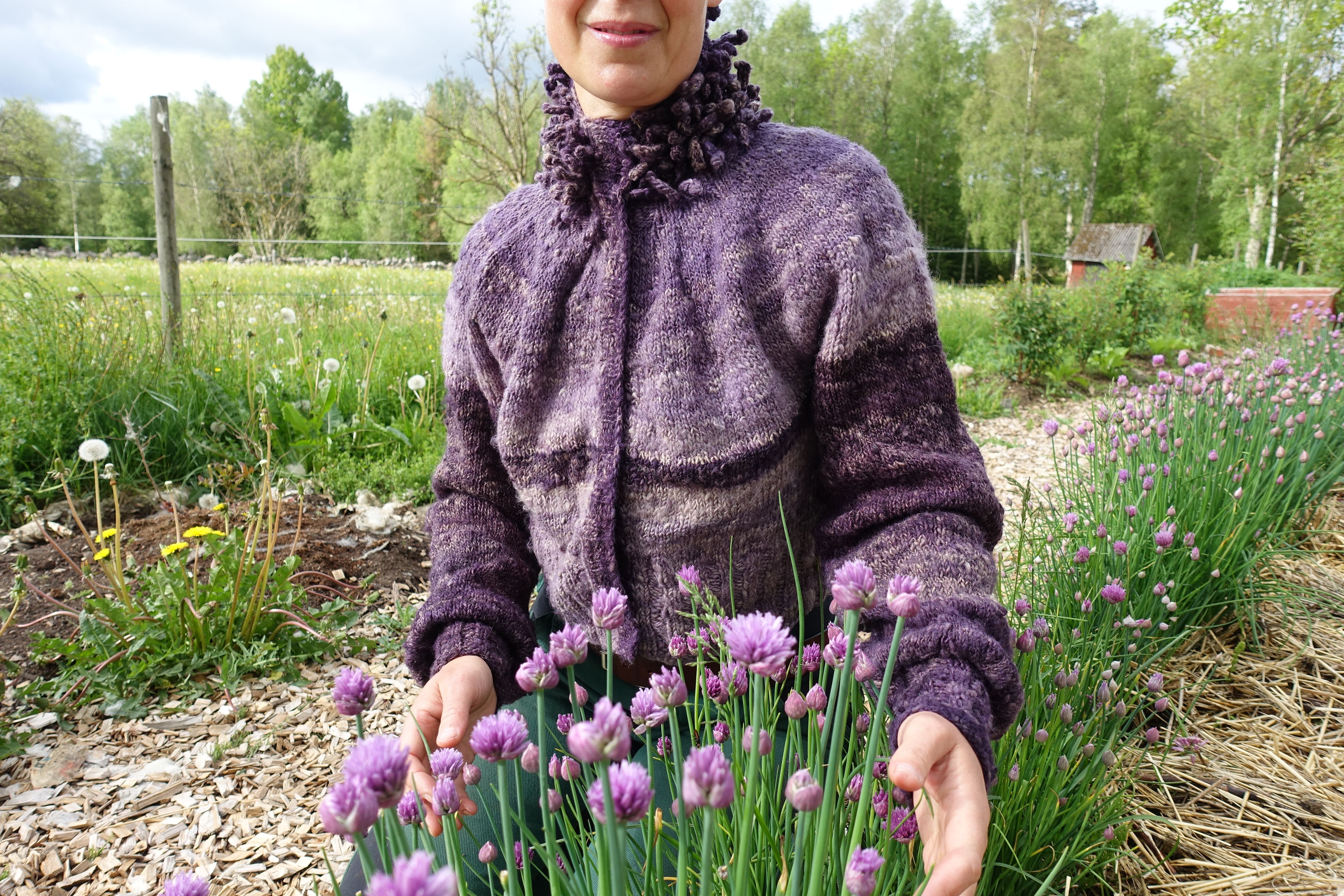 Sara sitter vid blommande lila gräslök. My puff sleeve cardigan.