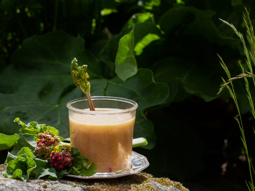 My homemade rhubarb curd - Sara Bäckmo