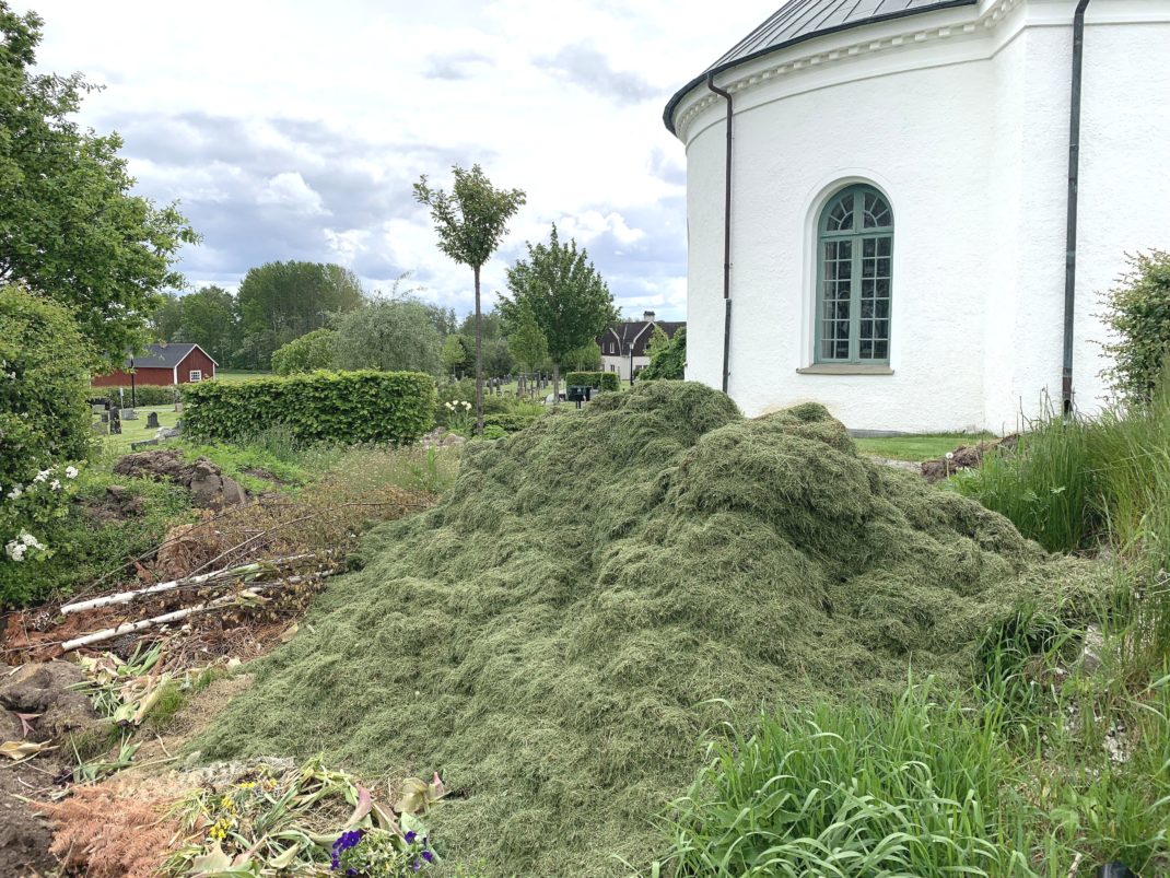 A pile of lots of green grass clippings and a white building behind. 