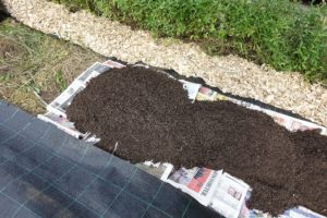 Närbild på den upphöjda bädden som tar form.