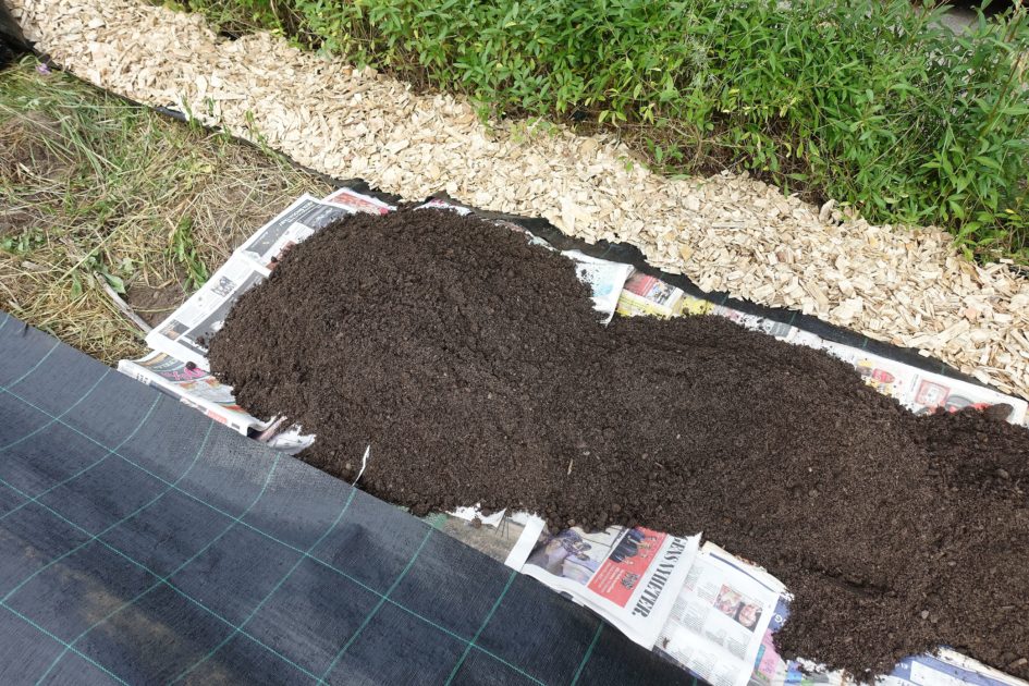 How to Use Cardboard in the Garden Sara's Kitchen Garden