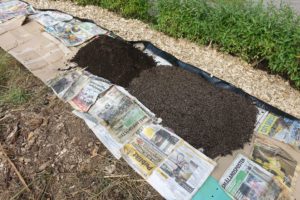 Ett pågående bygge av odlignsbäddar på tidningar.