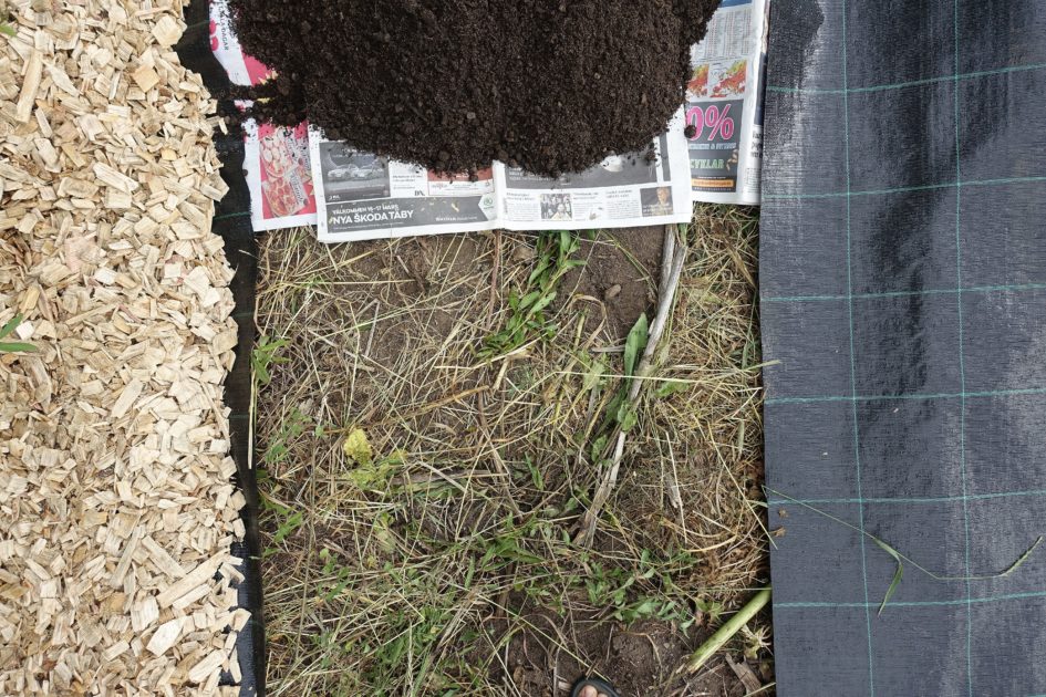 How to Use Cardboard in the Garden Sara's Kitchen Garden