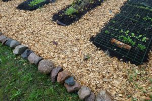 En prydlig kant av stenar med träflis på ena sidan och gräsmatta på andra.