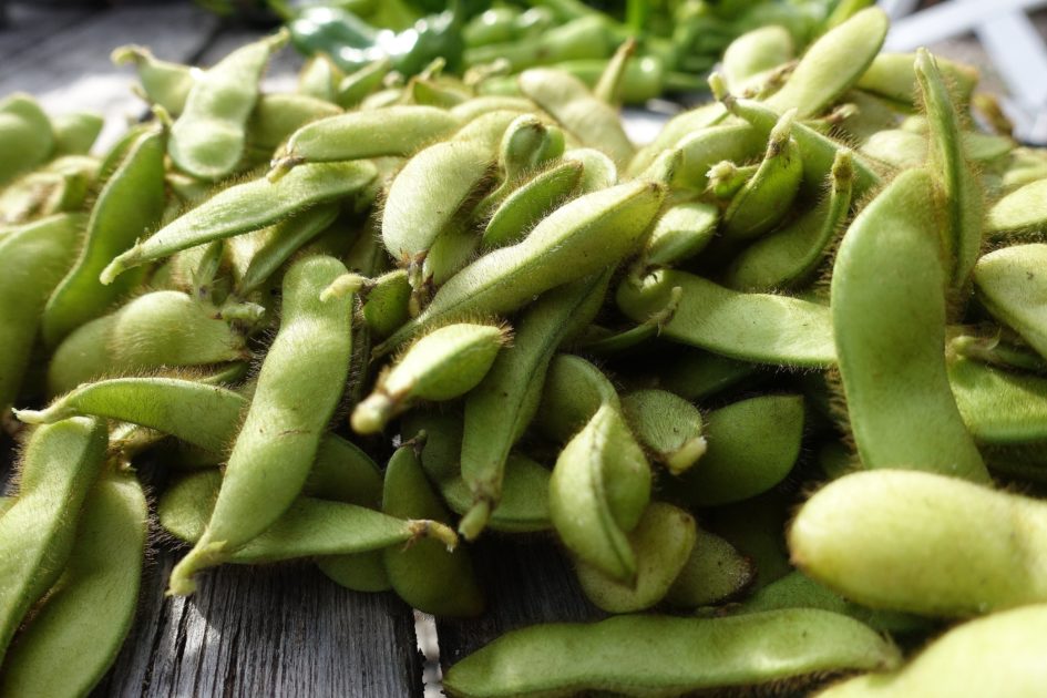 Guide: How to freeze soybeans – Sara's Kitchen Garden