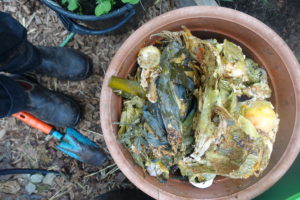 Trädgårdsavfall i en hink. När det grävs ner förbättras jorden.