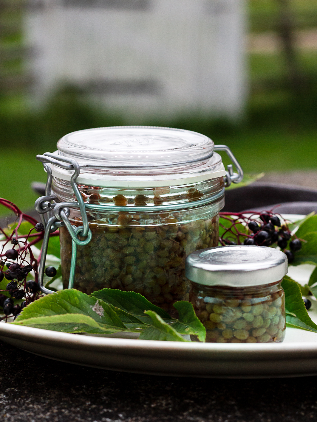 Delicious elderberry capers - Sara Bäckmo