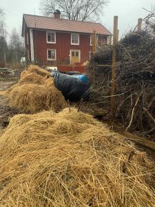 Täckodling i Skillnadens trädgård