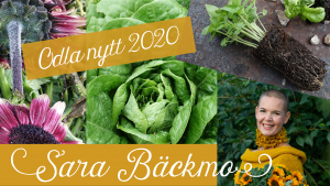 Bildcollage inför föredraget med grönsaker och porträttbild på Sara