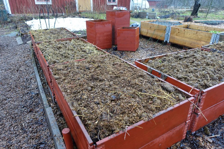 how-to-use-horse-manure-as-fertilizer-part-1-sara-s-kitchen-garden