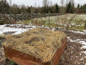 En röd odlingslåda med hö på toppen, i ett vintrigtlandskap.