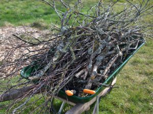 En skottkärra med kvistar