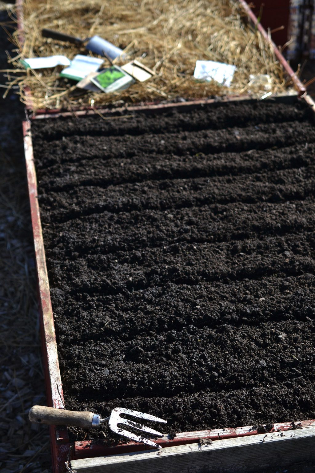 How to Grow Lettuce in Raised Beds Sara's Kitchen Garden