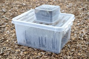 Bild på en back i genomskinlig plast med kondens på insidan.