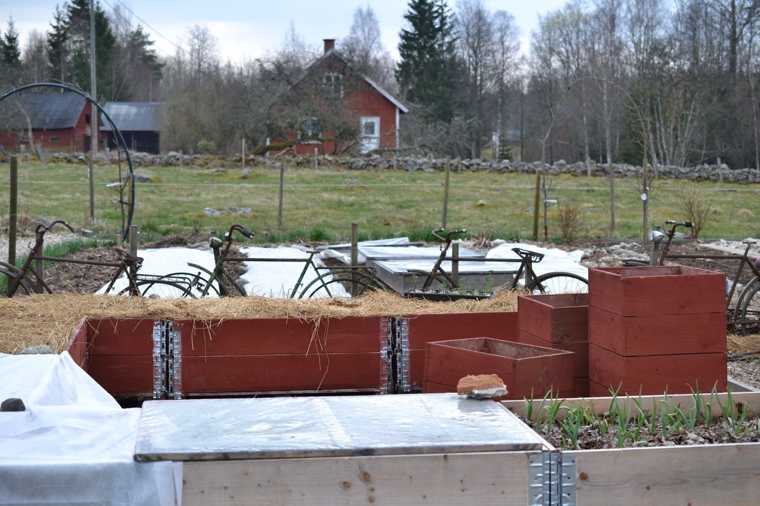 how-to-grow-potatoes-in-a-raised-bed-sara-s-kitchen-garden