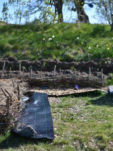 En yta i en köksträdgård där en ny bädd ska skapas