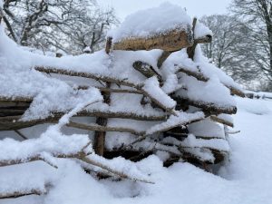 Snön har lagt sig på ett  kviststaket.