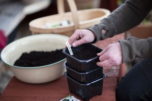 Tre såtråg sätts i varandra och händer trycker till.