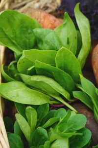 Nyskördade grönsaker