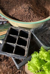 Jord och tråg som förberedelse till sådd.