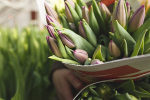 Tulpaner invirade i tidningspapper