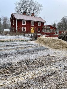 Ett rött hus med växthus och köksträdgård i aprilväder.