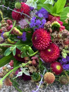 Närbild på bukett med röd dahlia.