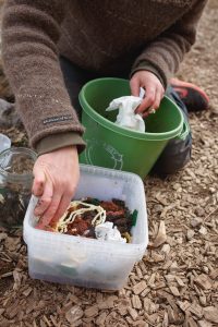Sara gör en mask-kompost
