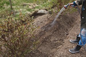 sarabackmo_sow_vattna