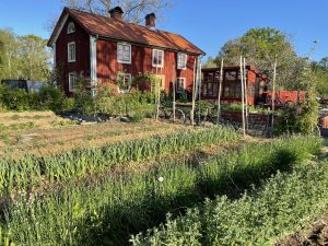 köksträdgård framför ett rött hus med två skorstenar